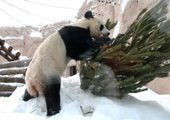 Московский зоопарк