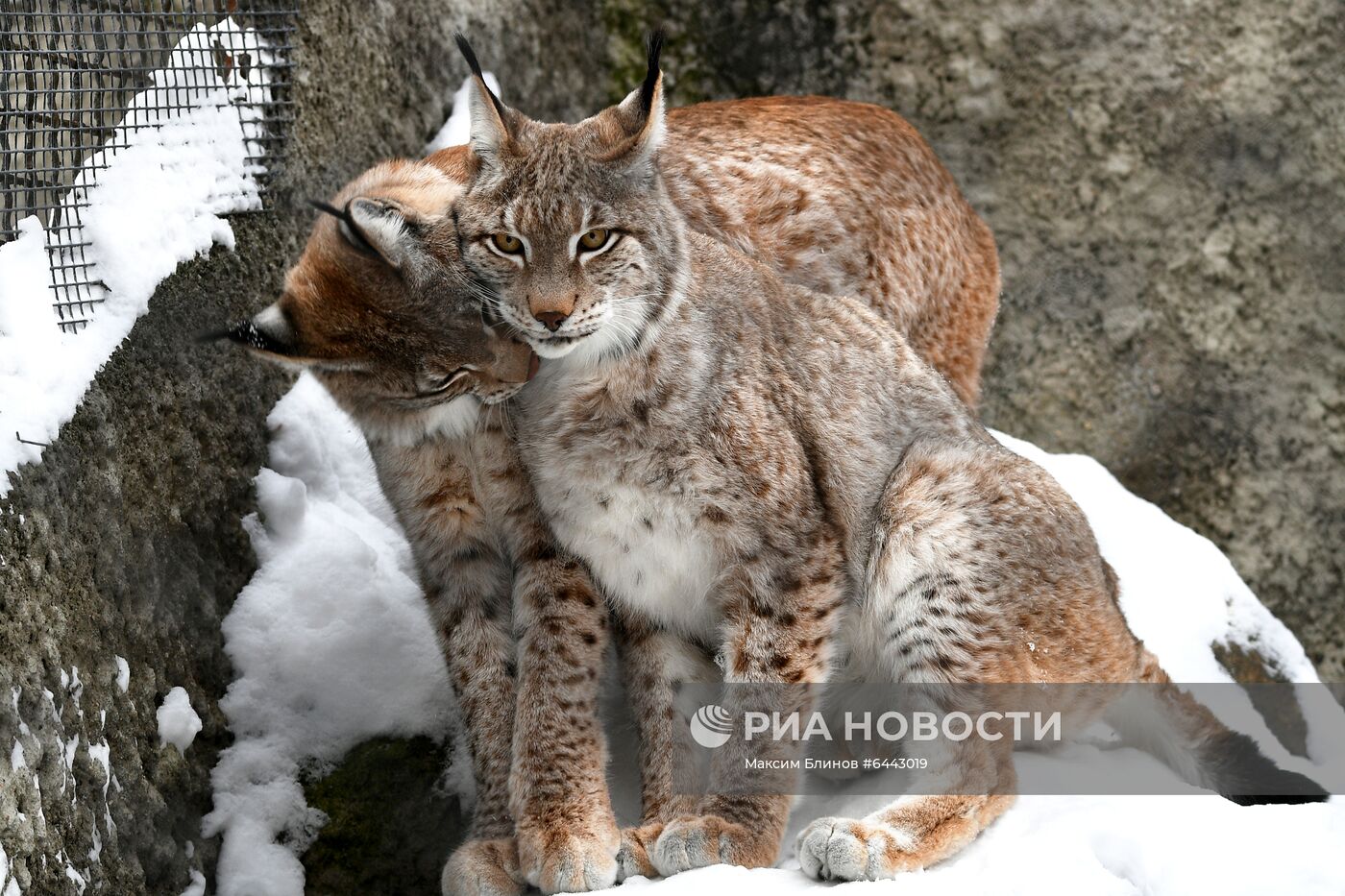 Московский зоопарк
