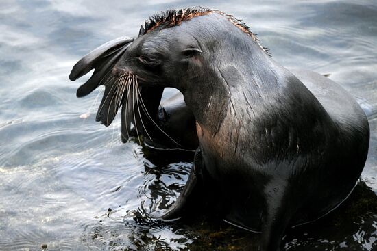 Московский зоопарк