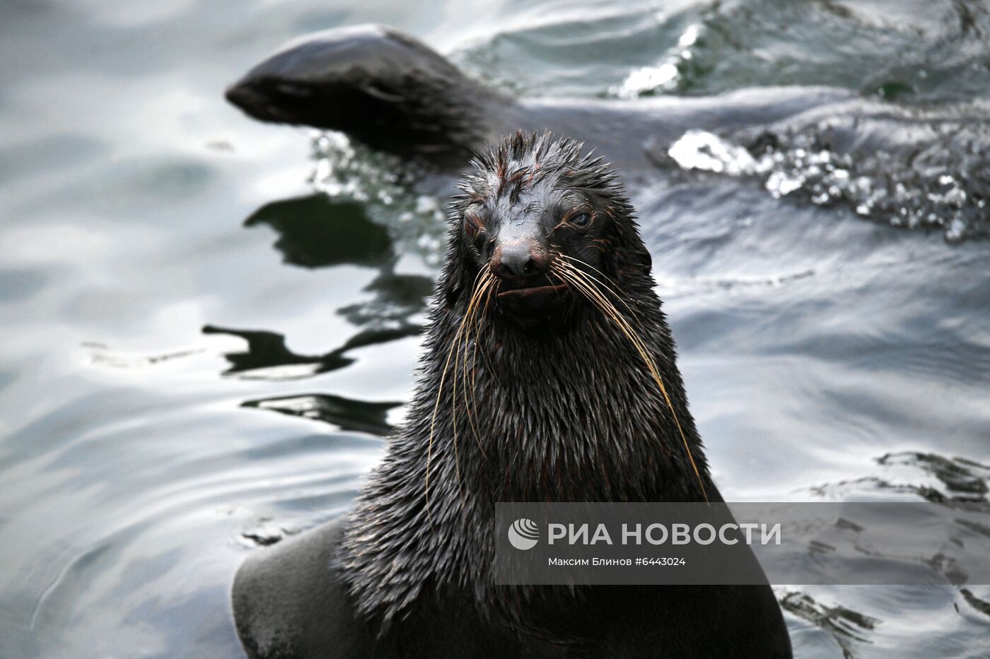 Московский зоопарк