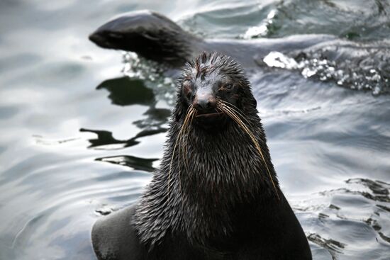Московский зоопарк
