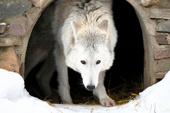 Московский зоопарк