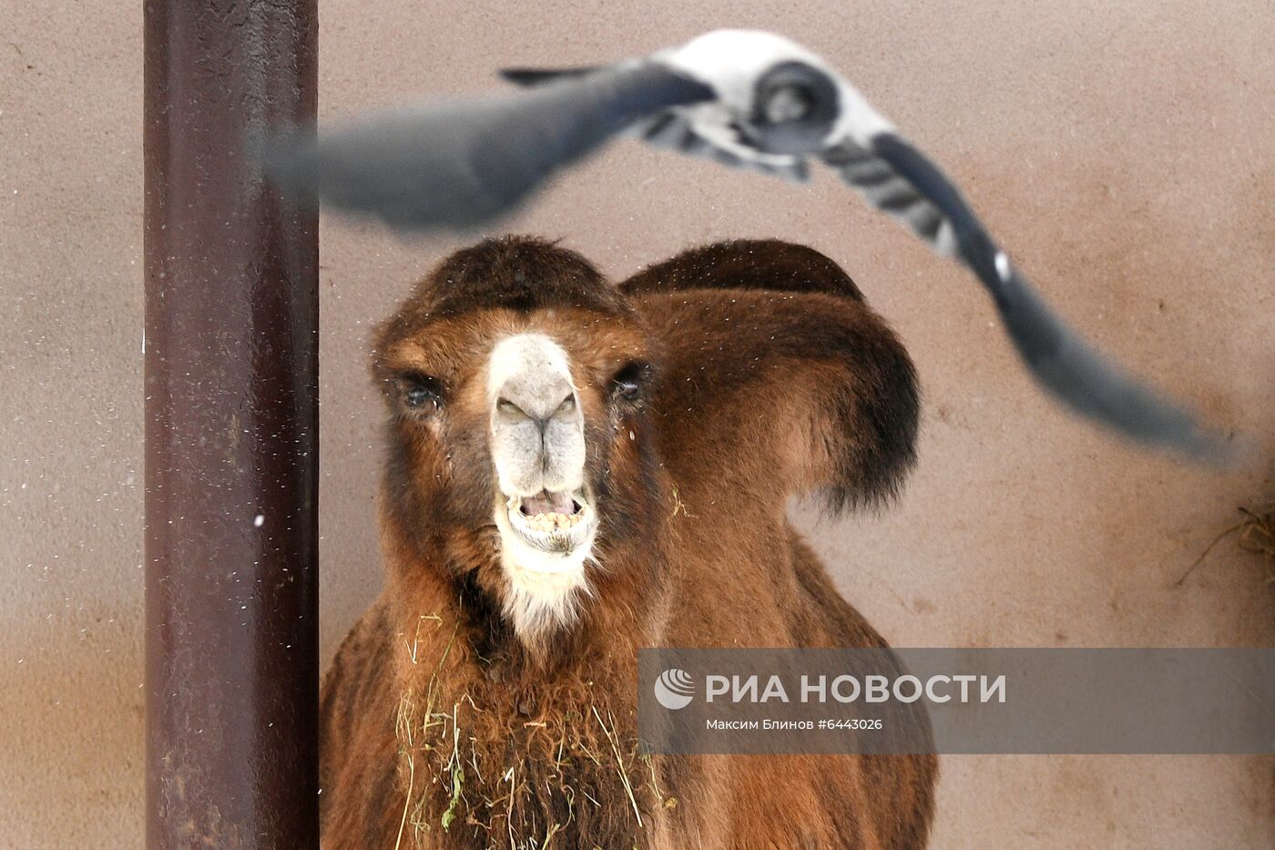 Московский зоопарк