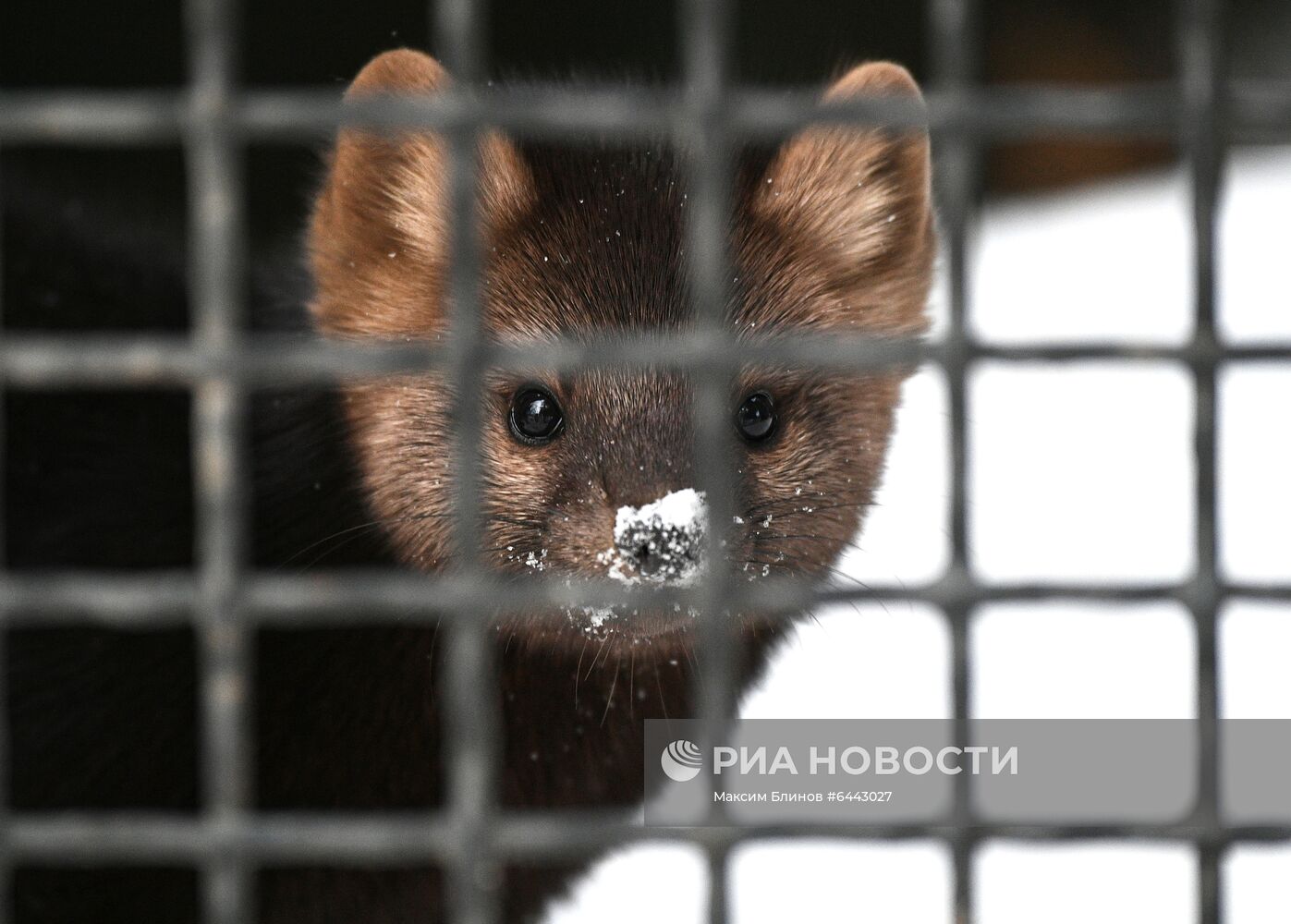 Московский зоопарк