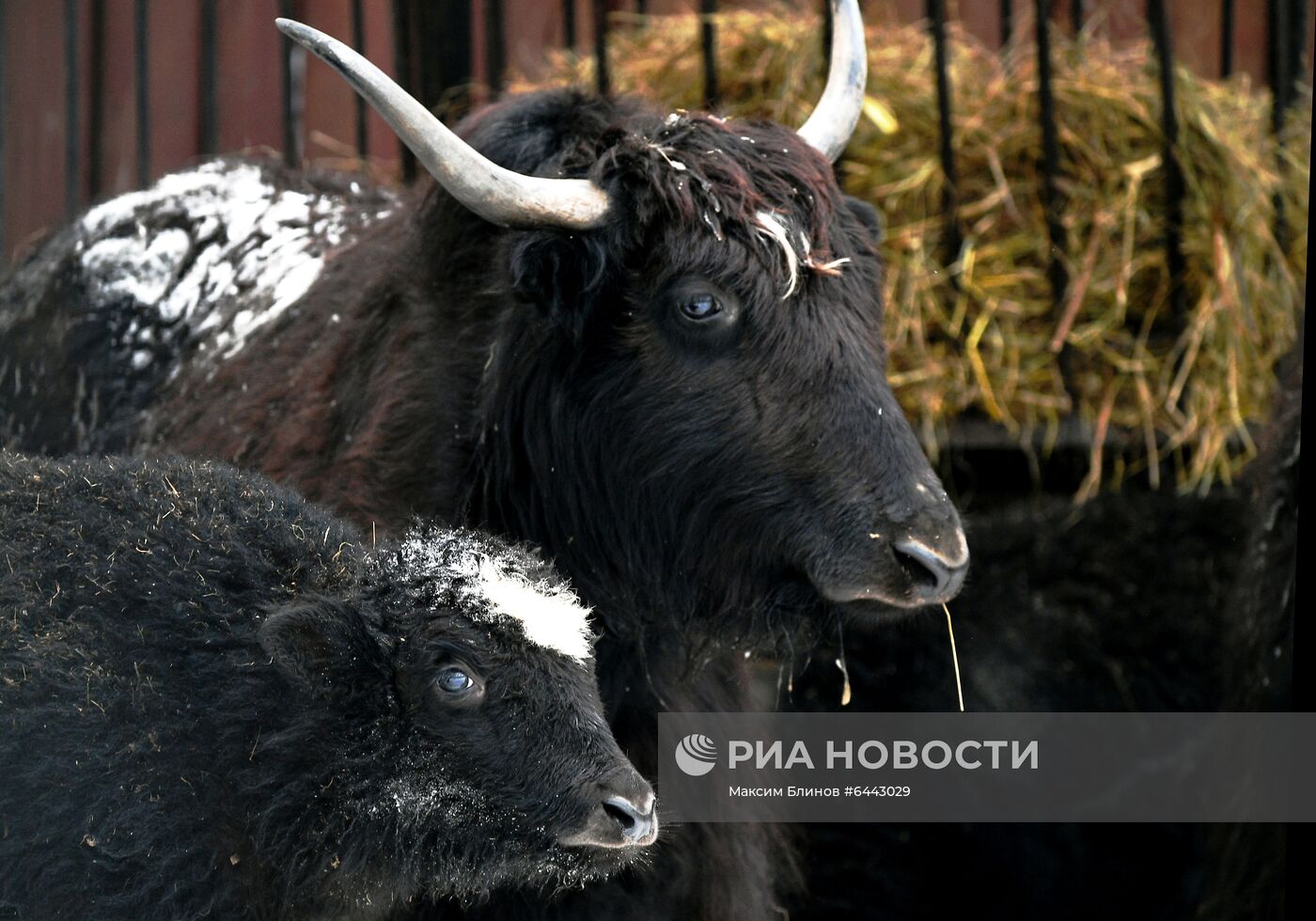 Московский зоопарк