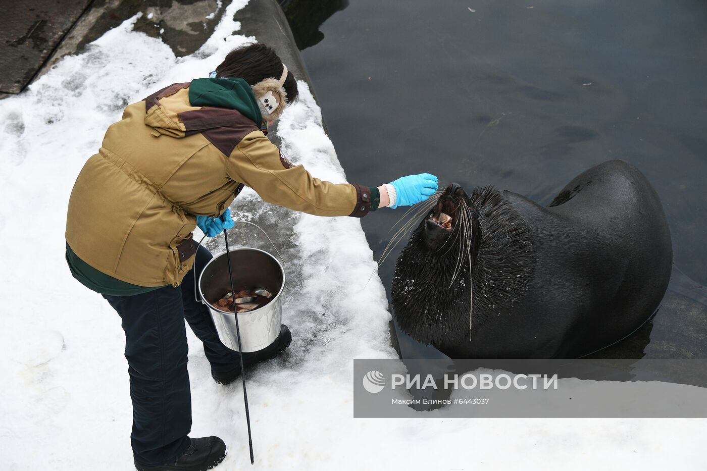 Московский зоопарк