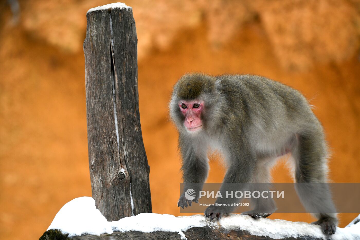 Московский зоопарк