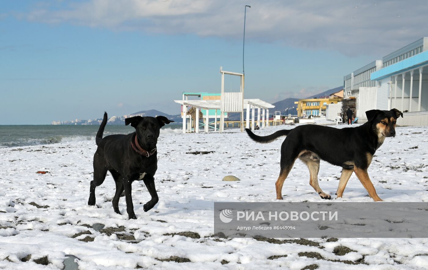 Снегопад в Сочи