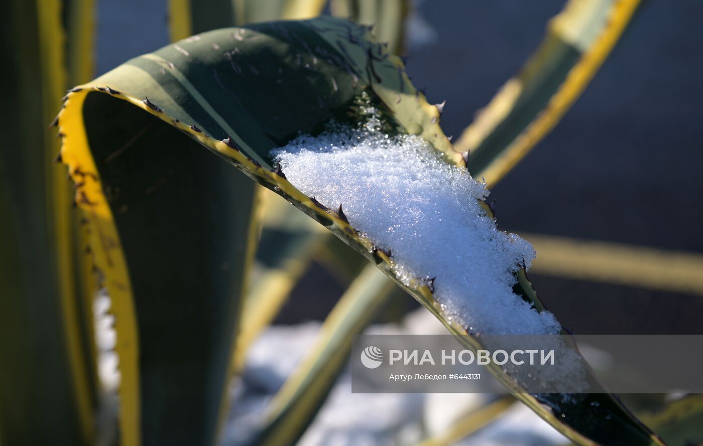 Снегопад в Сочи