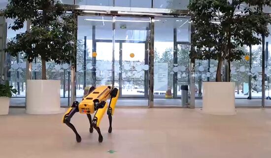 "Сбер" презентовал робота-собаку