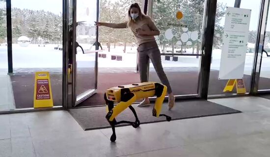 "Сбер" презентовал робота-собаку
