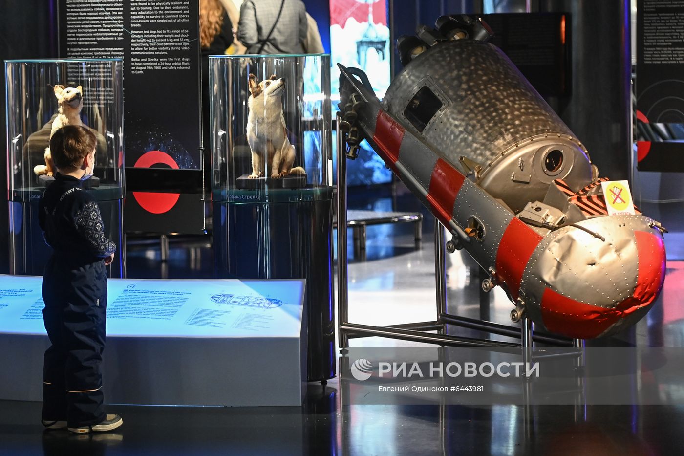 Открытие музеев Москвы после снятия ограничений