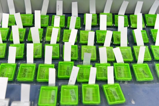 Открытие онкологического диспансера в Набережных Челнах