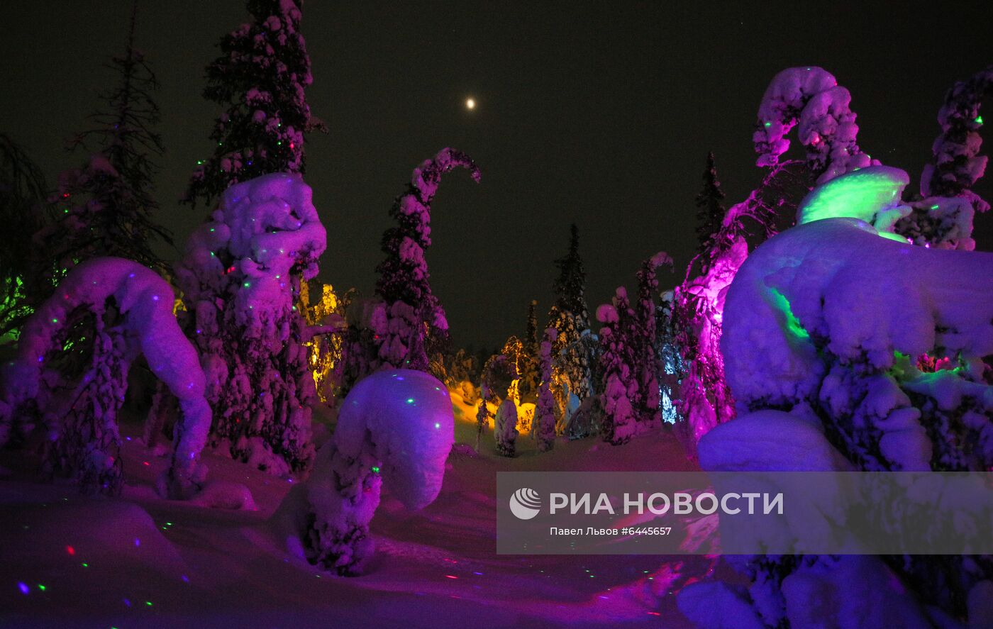 Арт-парк "Таинственный лес" в Кировске