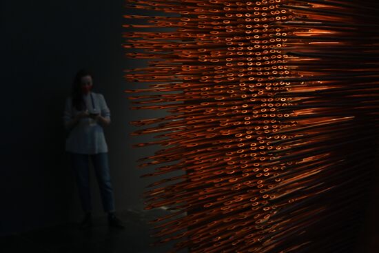 Выставка "Алла Урбан. Из железа в каплю света" в Третьяковской галерее