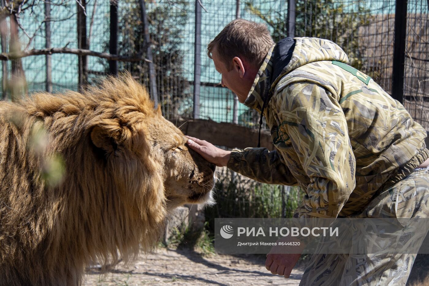 Парк львов "Тайган"