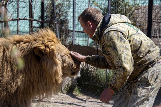 Парк львов "Тайган"