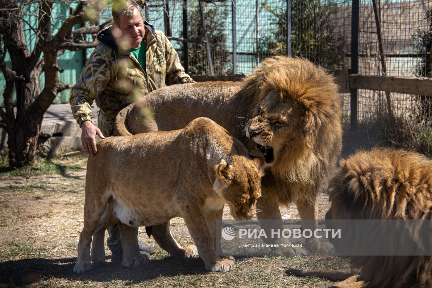 Парк львов "Тайган"