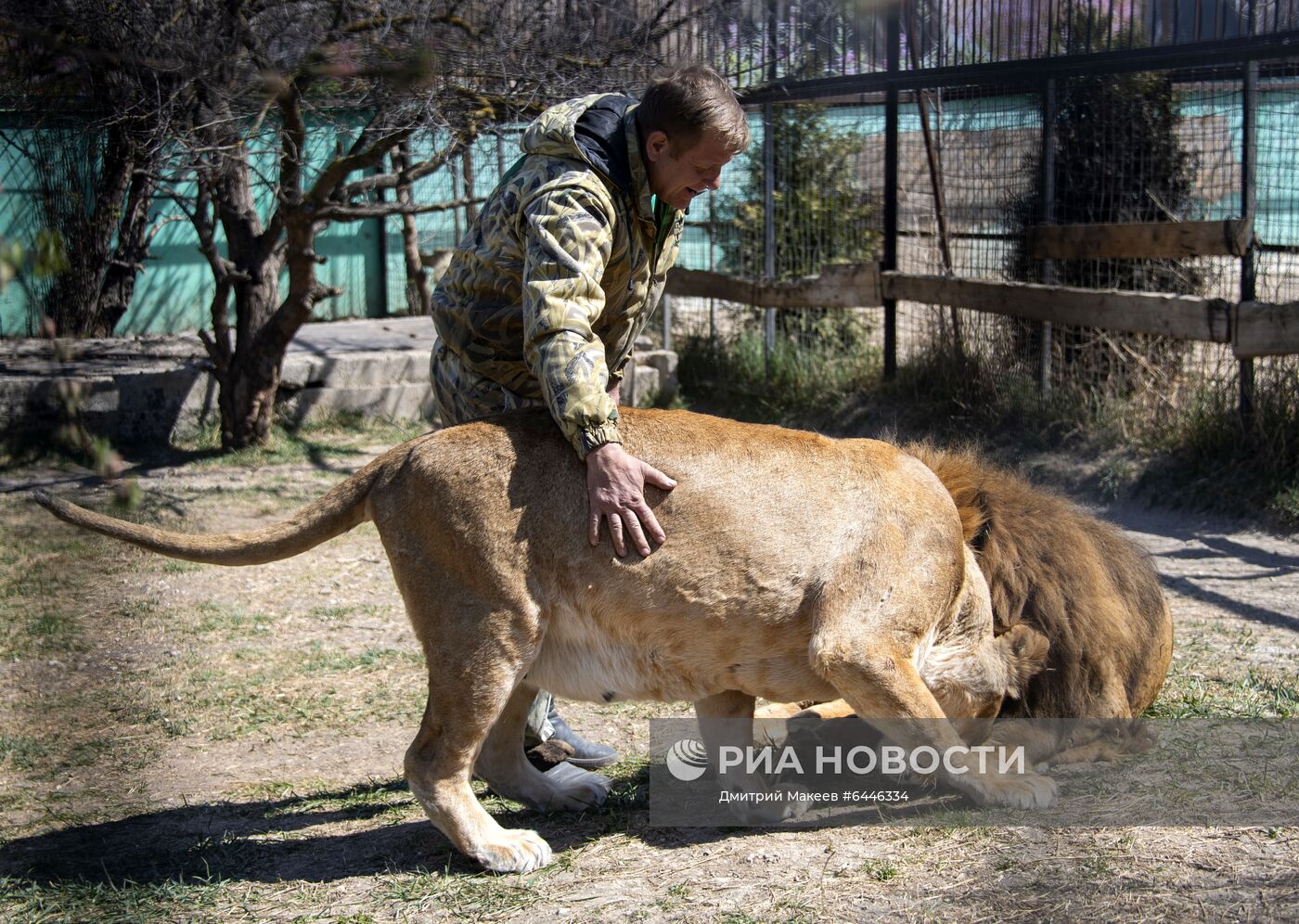 Парк львов "Тайган"