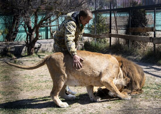 Парк львов "Тайган"