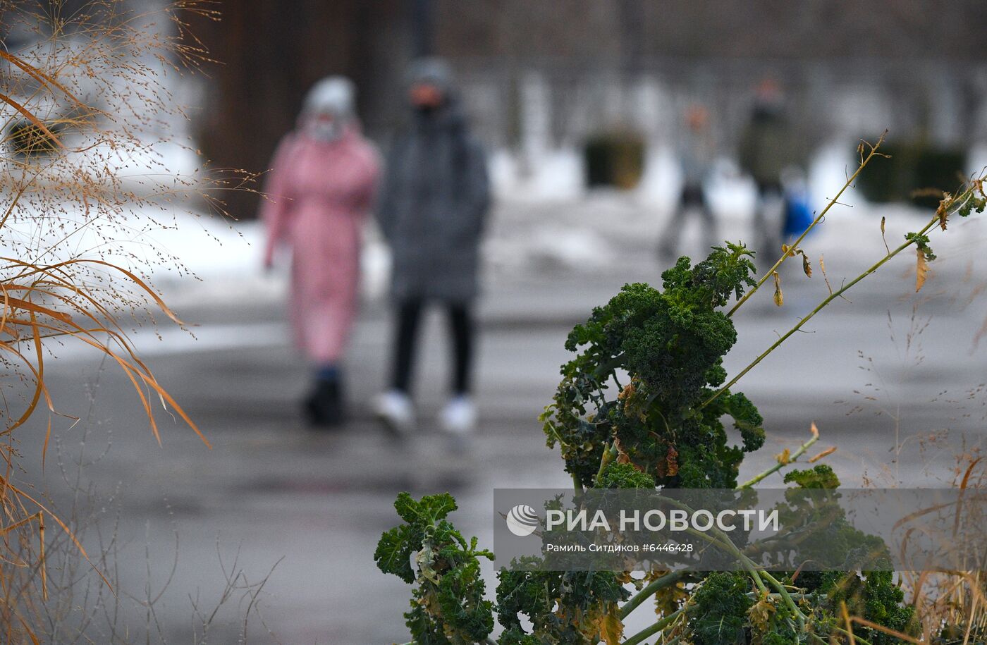 Теплая погода в Москве