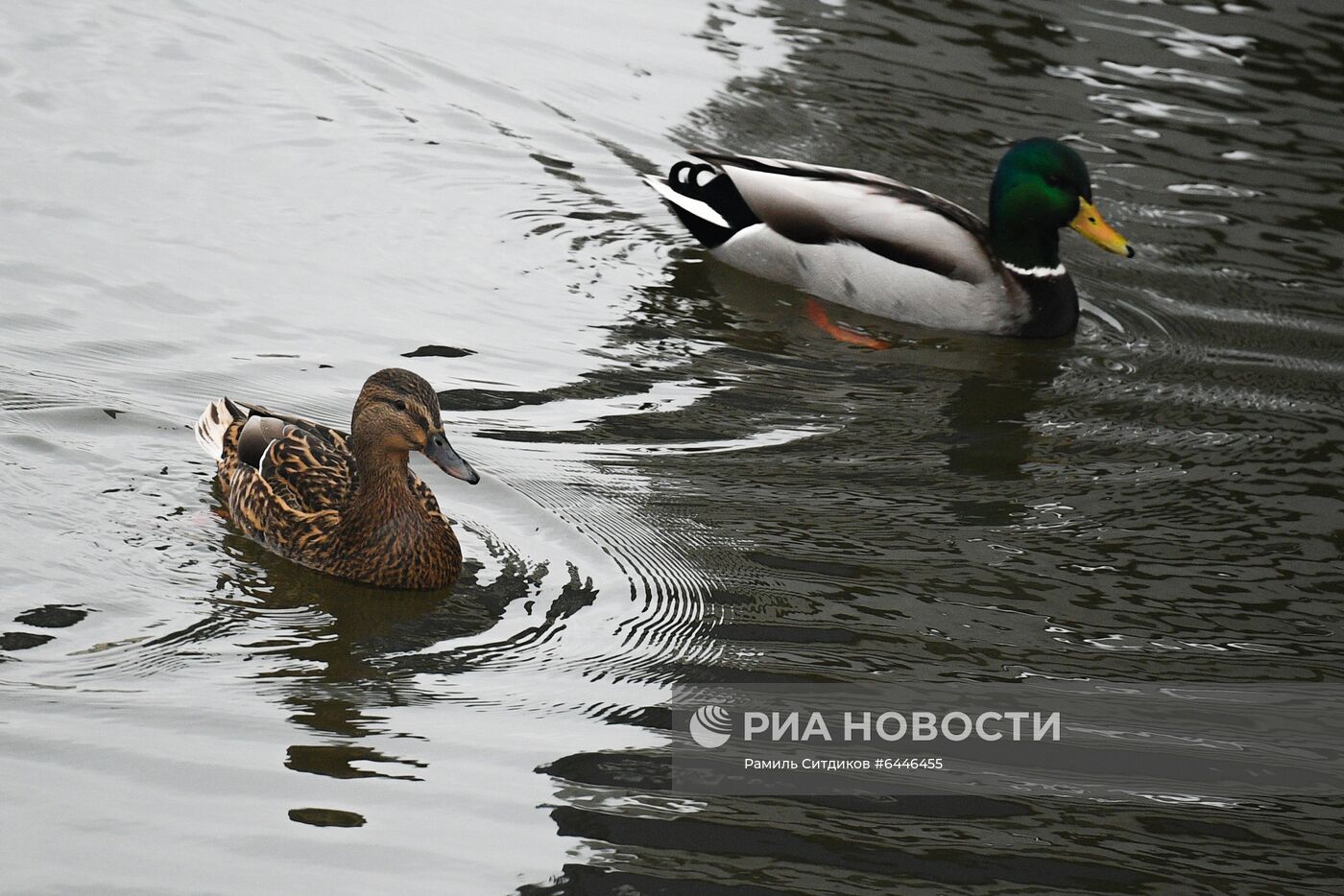 Теплая погода в Москве