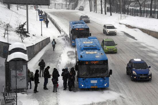 Метель во Владивостоке