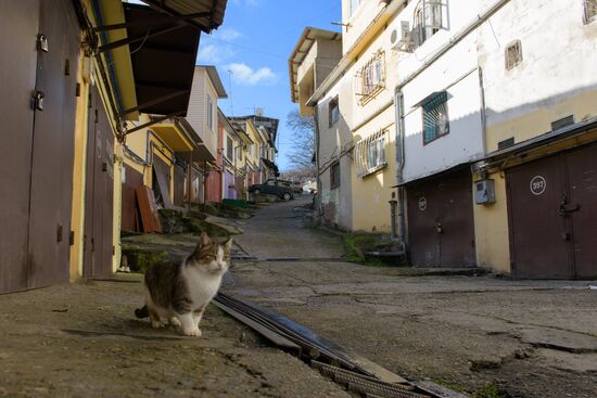 "Гаражные фавелы" в Сочи