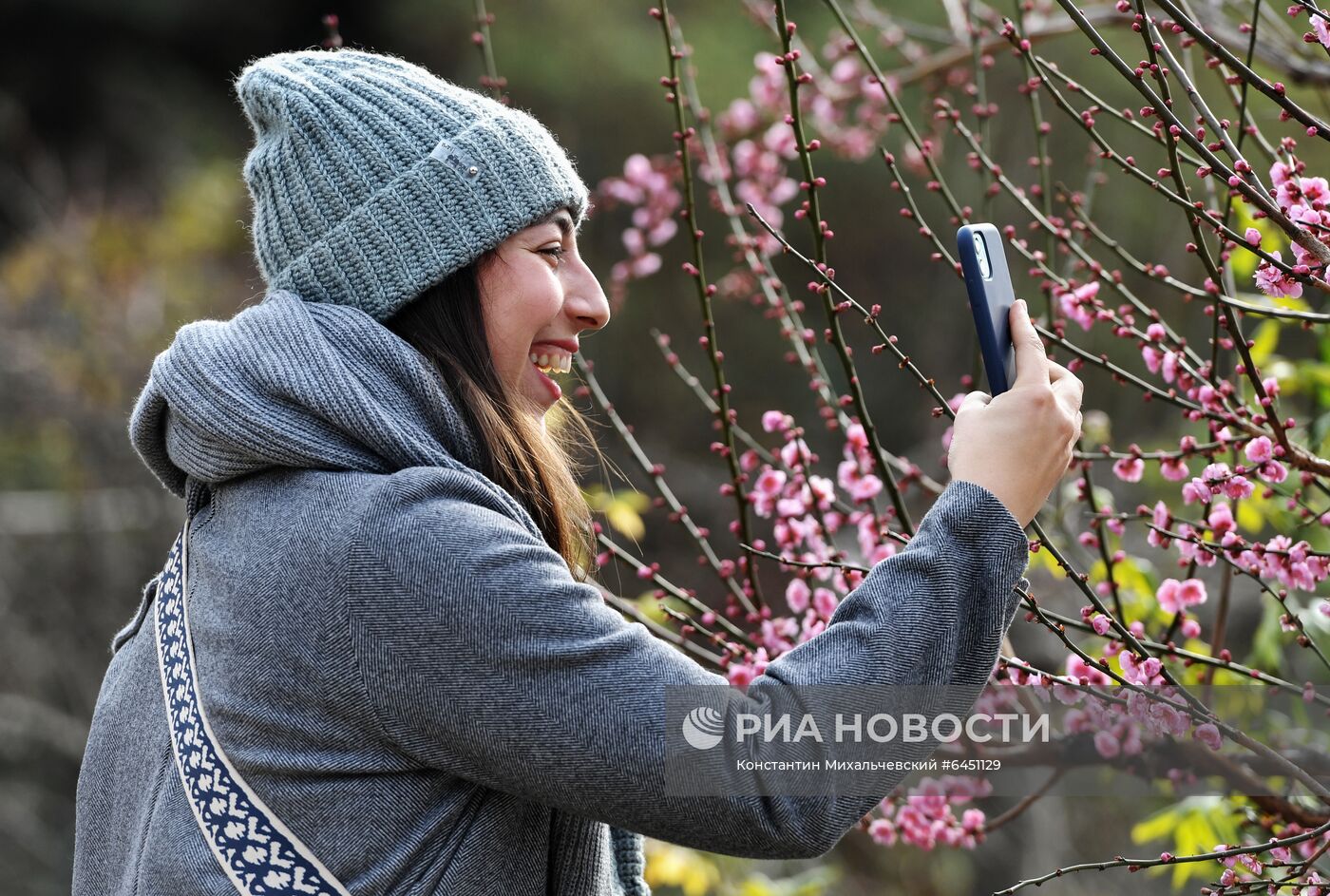 Ялта в феврале