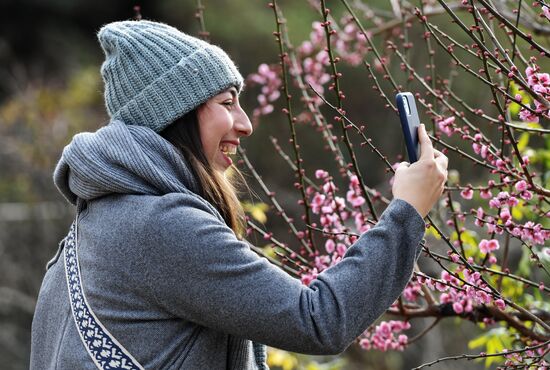 Ялта в феврале