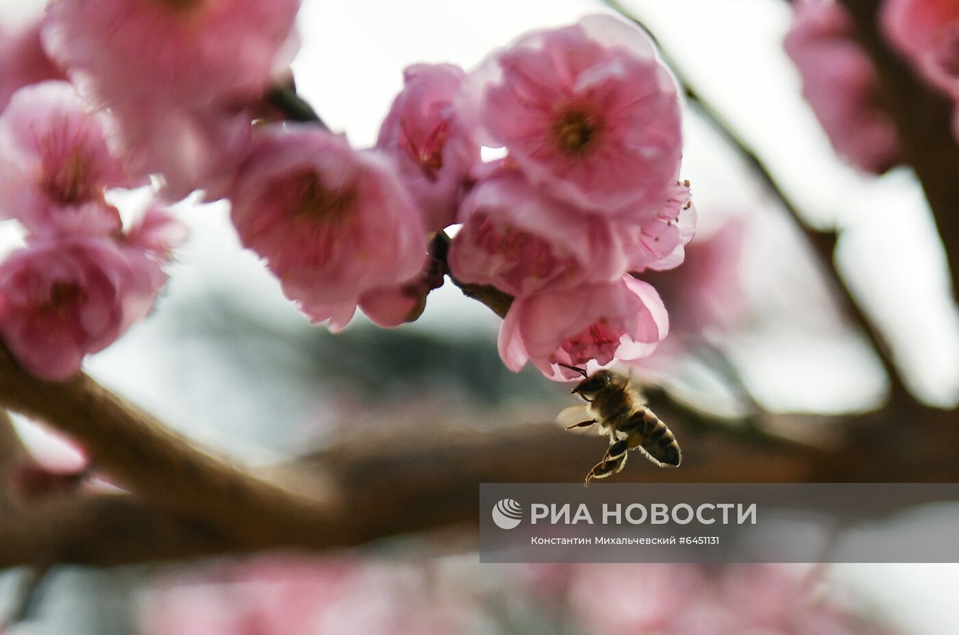 Ялта в феврале