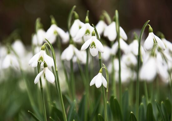Ялта в феврале