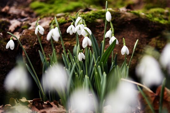 Ялта в феврале