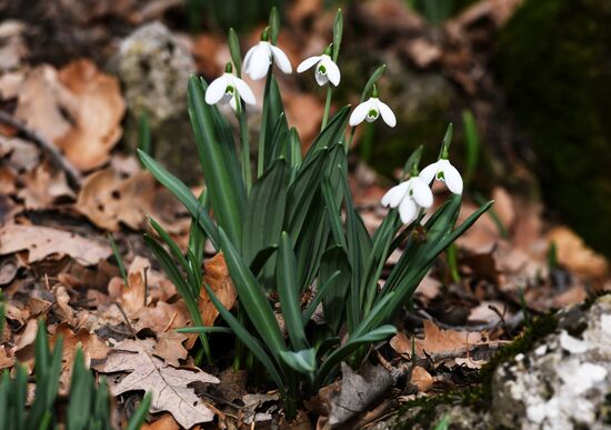 Ялта в феврале
