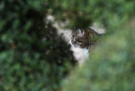 Ялта в феврале