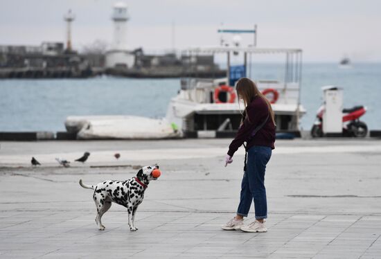 Ялта в феврале