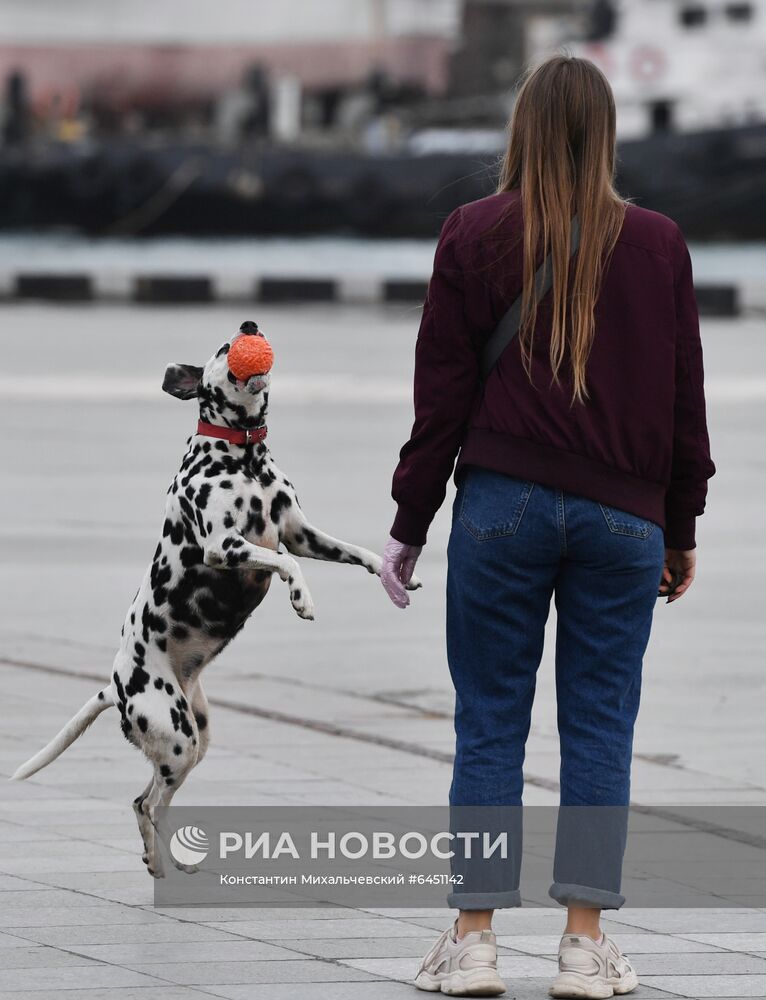 Ялта в феврале