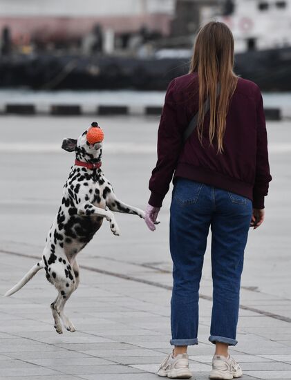 Ялта в феврале