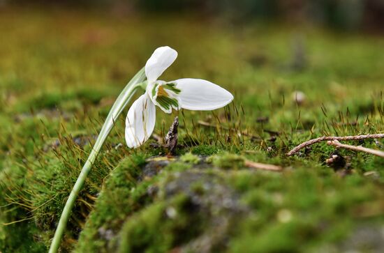 Ялта в феврале