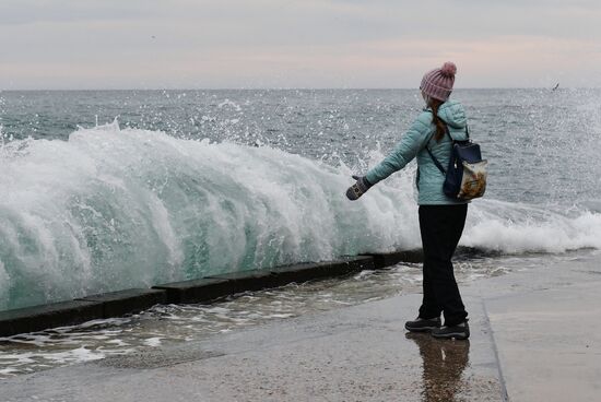Ялта в феврале
