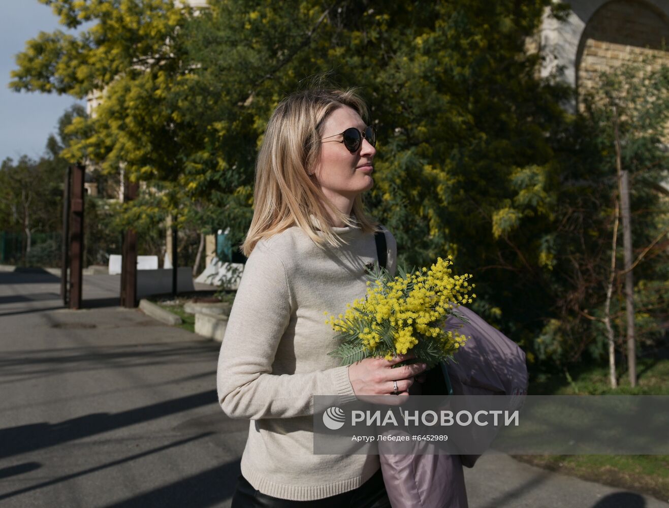 Раннее цветение мимозы в Сочи