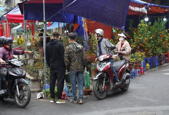 Подготовка к празднованию Нового года по лунному календарю во Вьетнаме