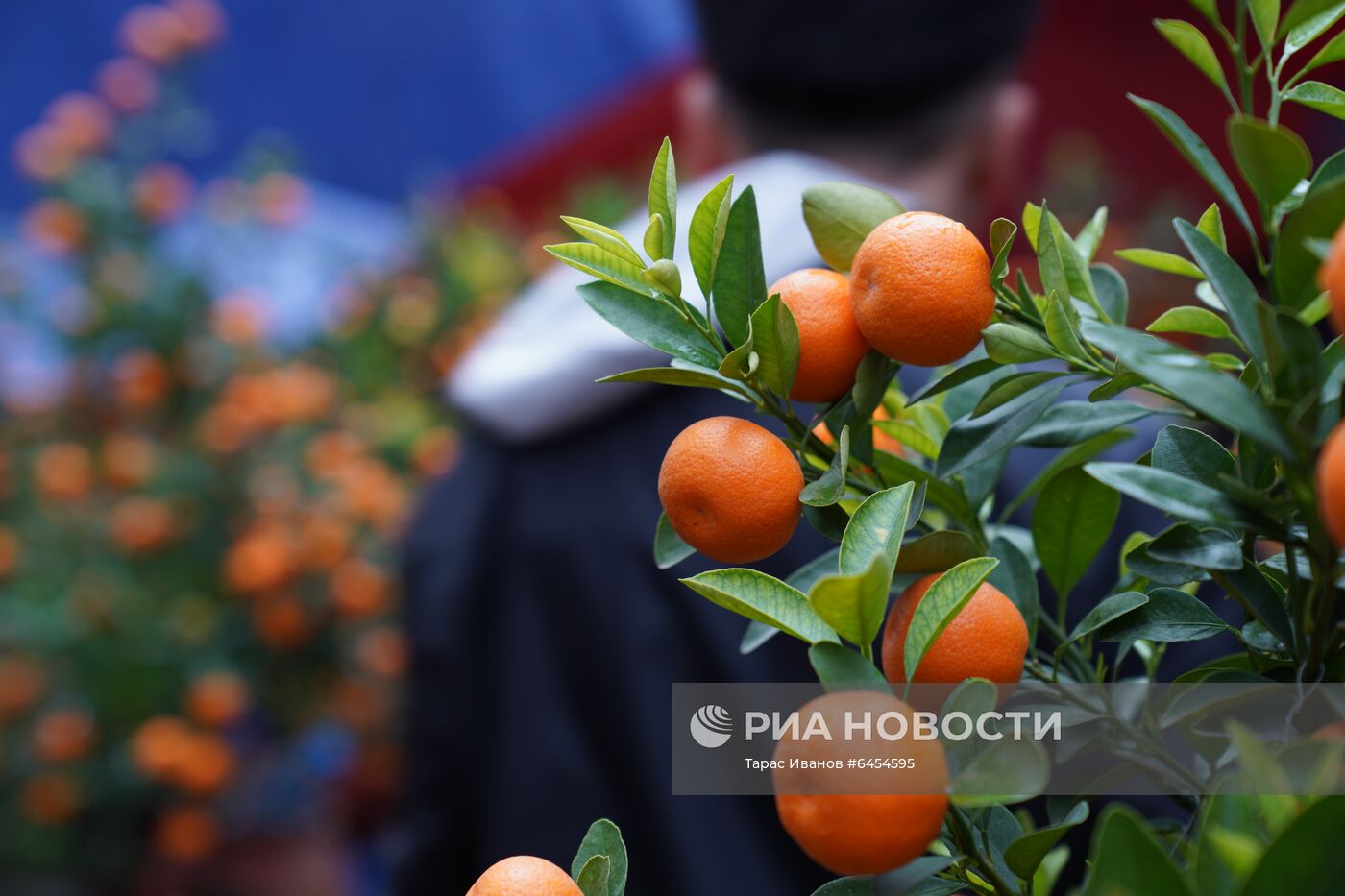 Подготовка к празднованию Нового года по лунному календарю во Вьетнаме