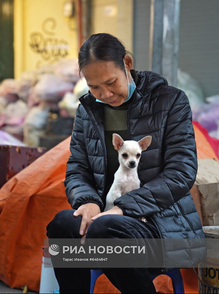 Подготовка к празднованию Нового года по лунному календарю во Вьетнаме