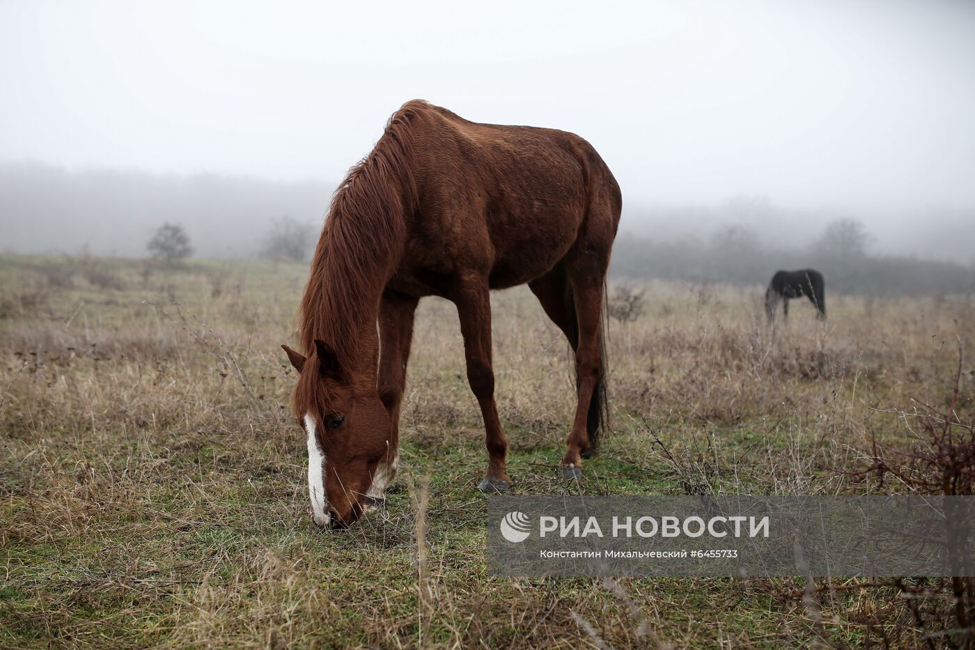 Регионы России. Крым