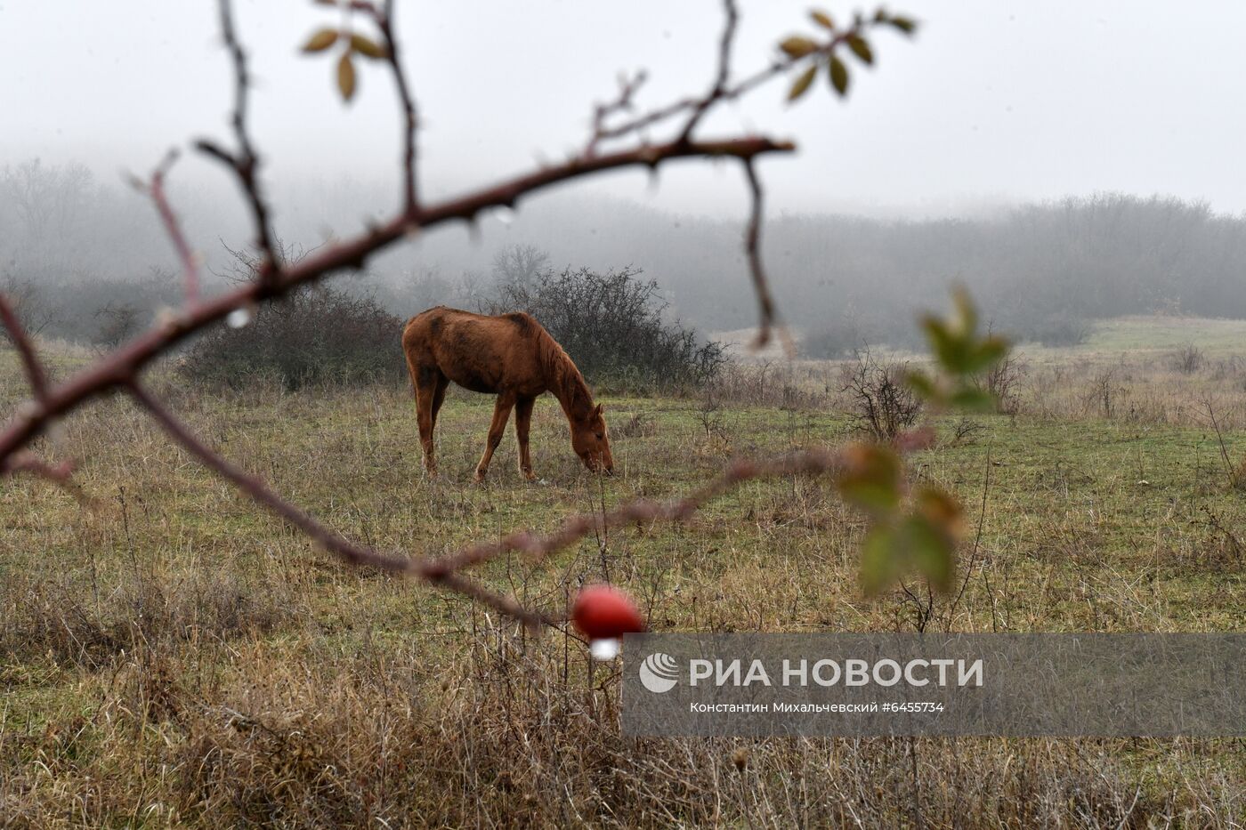 Регионы России. Крым