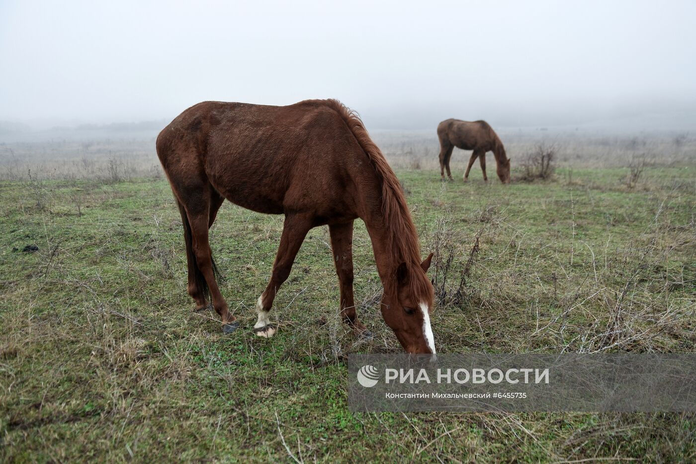 Регионы России. Крым