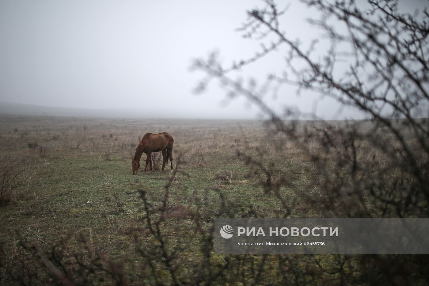 Регионы России. Крым