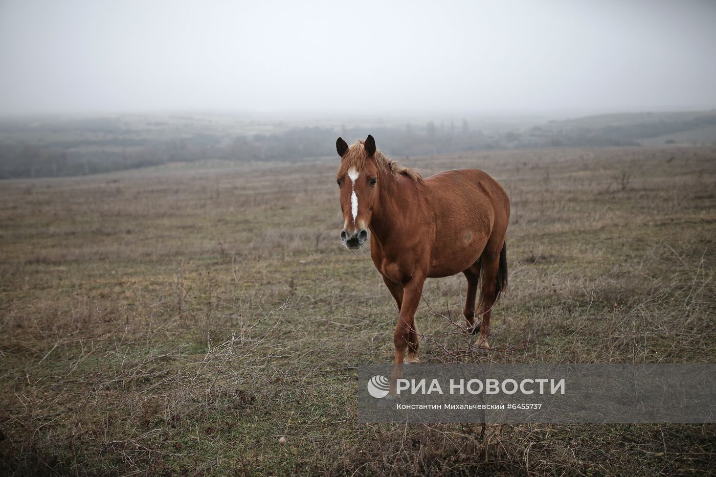 Регионы России. Крым