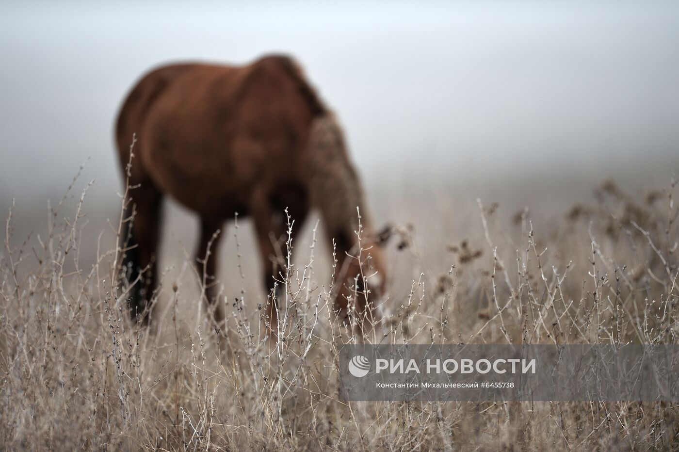 Регионы России. Крым